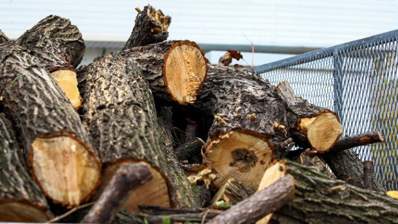 Шофьор скочи от камион с дърва заради проблеми със спирачките в Разградско